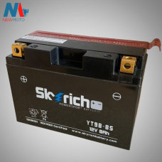Акумулятор Skyrich YT9B-BS 12V 8Ah [100782]