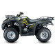 JIANSHE JS250ATV-5 WILD CAT