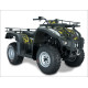JIANSHE JS250ATV-5 WILD CAT