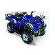 JIANSHE JS250ATV-5 WILD CAT