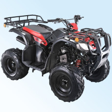 SkyBike TRITON 150