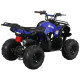 Spark SP110-3