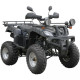 Spark SP175-1