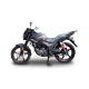 Hornet RS 150