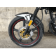 Hornet RS 150