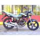 GEON Pantera Classic 150