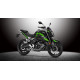Loncin LX250-15 CR4