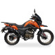 SHINERAY X-TAIL 250 Trophy
