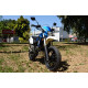 SkyBike DRAGON 200 NEW