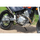 SkyBike DRAGON 250