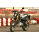 SkyBike DRAGON 250