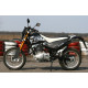 SkyBike DRAGON 250