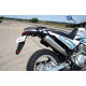 SkyBike LIGER 250