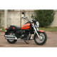 SkyBike TC 250
