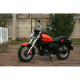 SkyBike TC 250