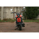 SkyBike TC 250