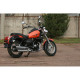 SkyBike TC 250