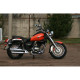 SkyBike TC 250