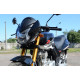SkyBike WOLF 250