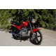 SkyMoto BIRD 150