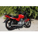 SkyMoto BIRD 150