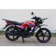 SkyMoto BIRD X3 150 RANGER