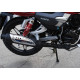 SkyMoto BIRD X5 150