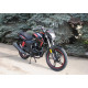 SkyMoto BIRD X6 150
