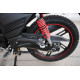 SkyMoto BIRD X6 150