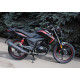 SkyMoto BIRD X6 150
