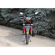 SkyMoto BIRD X6 150