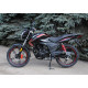 SkyMoto BIRD X6 150