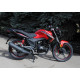 SkyMoto BIRD X6 200