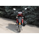SkyMoto BIRD X6 200