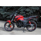 SkyMoto BIRD X6 200