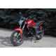 SkyMoto BIRD X6 200