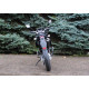 SkyMoto DRAGON 200 New