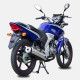 Spark SP150R-22