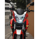 VIPER V250-R1(NK)