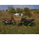 VIPER ZS250GY