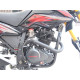 VIPER ZS250GY