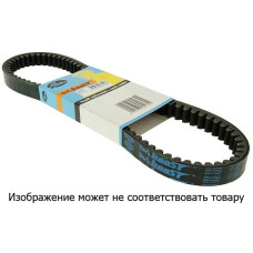 GT 31804