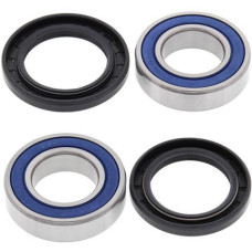 ALLBALLS 25-1102