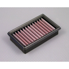 DNA P-BM8S09-01