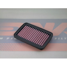 DNA P-S6S00-01