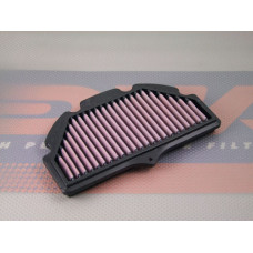 DNA P-S6S06-0R