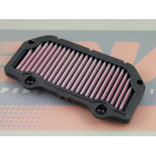 DNA P-S6S11-0R