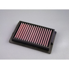 DNA P-Y17N09-01