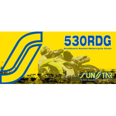 SS 530RDG-110N SS 530RDG-110N