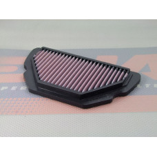 DNA P-H6S01-01